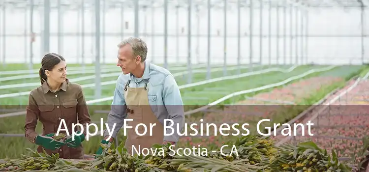 Apply For Business Grant Nova Scotia - CA